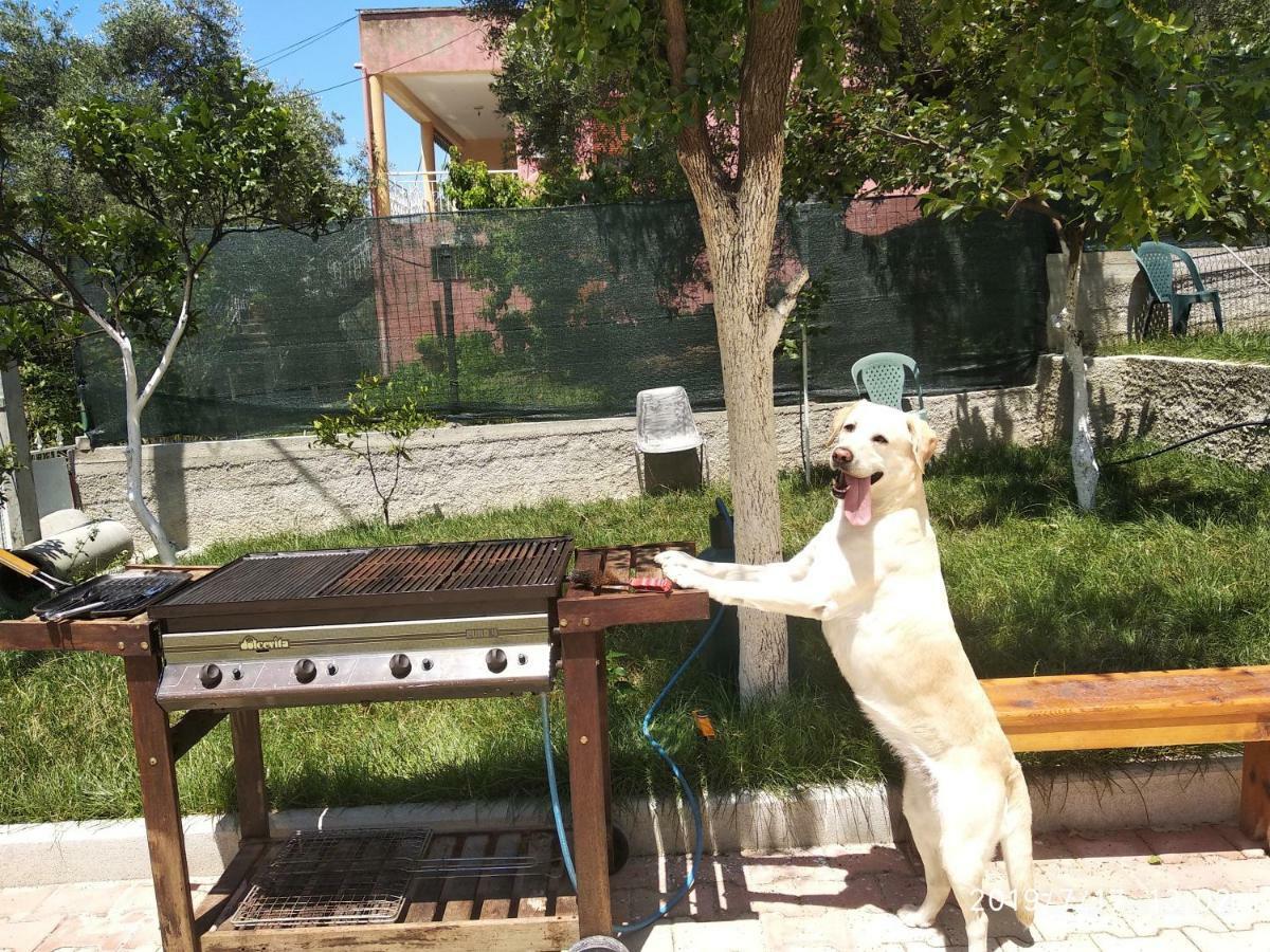 Casa Prifti * Vlore